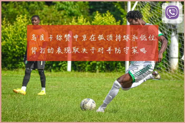 乌度卡称赞申京在弧顶持球和低位背打的表现取决于对手防守策略